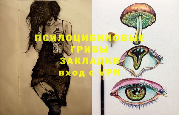 спиды Балахна