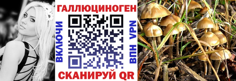 Псилоцибиновые грибы мухоморы  Спас-Клепики 